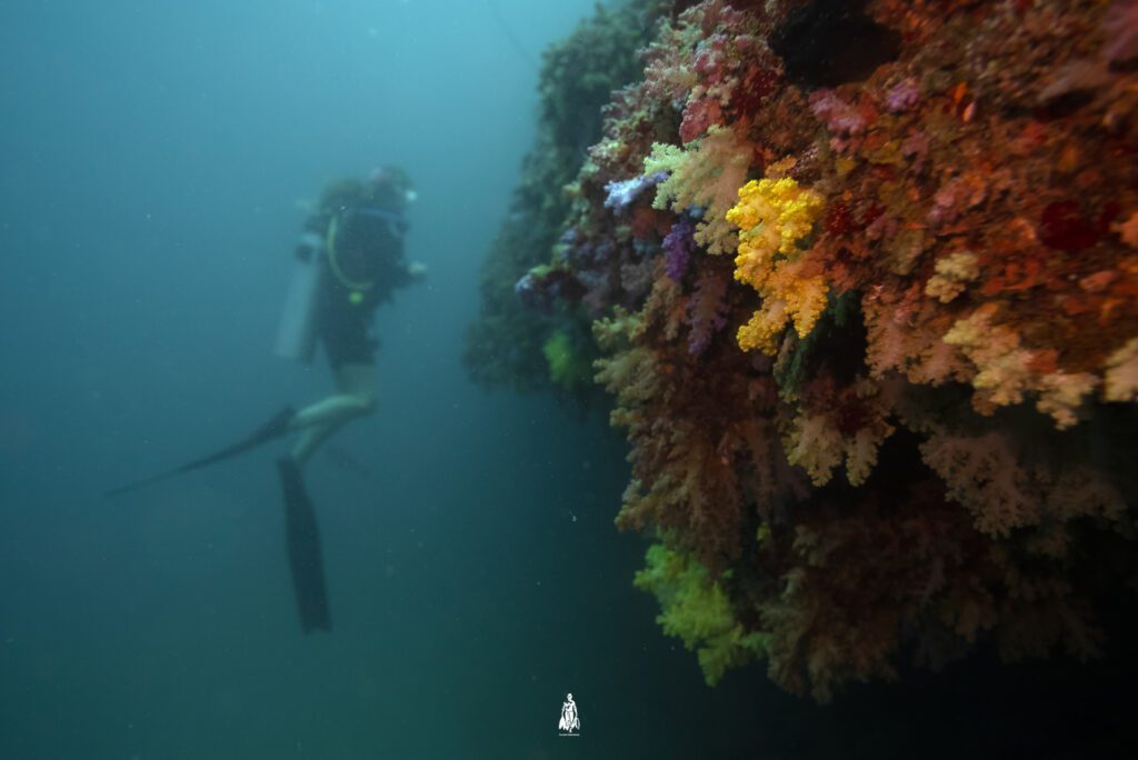 HDh Hirimaradhoo Heaven and Hell HDh Hirimaradhoo Heaven and Hell