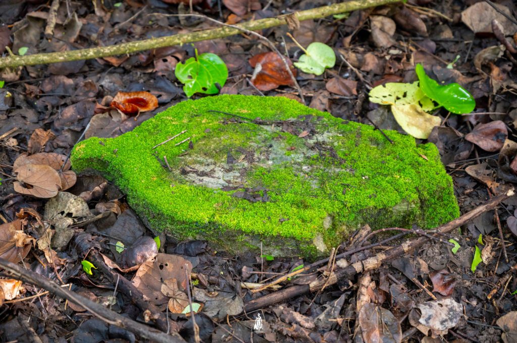 HDh Keylakunu Ground Shots HDh Keylakunu Ground Shots