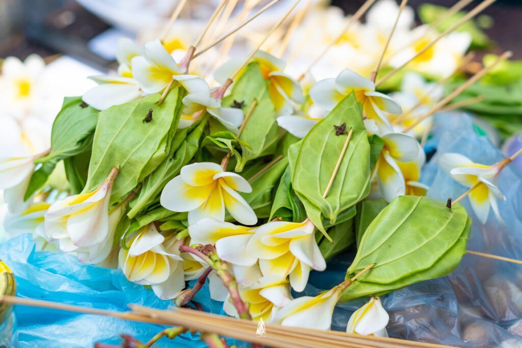 HDh Nolhivaran Bileh Gas HDh Nolhivaran Bileh Gas