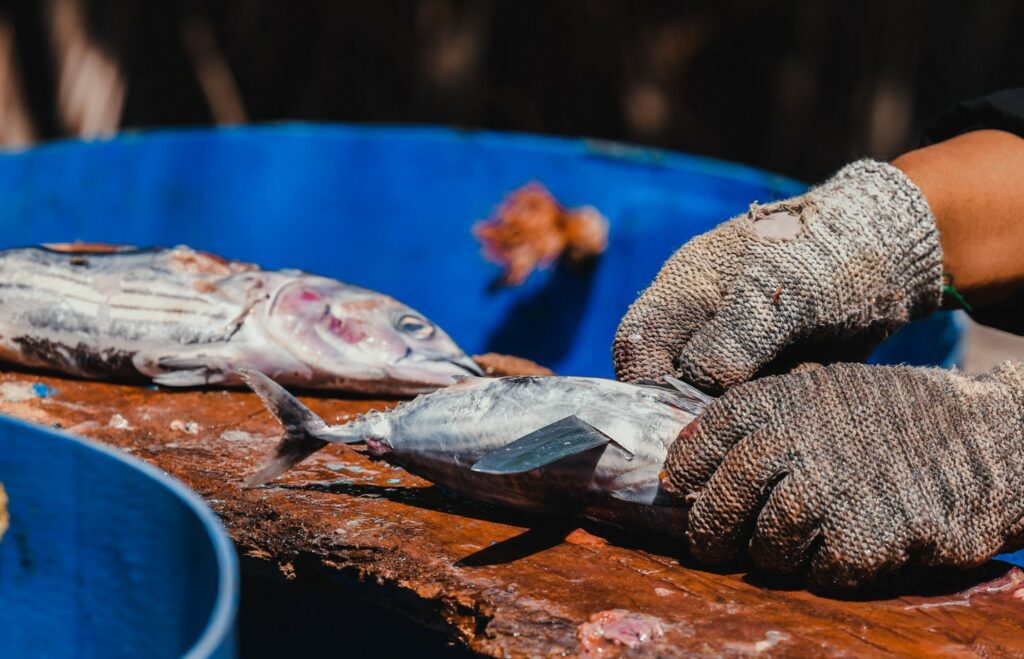 mas kendun mas kendun